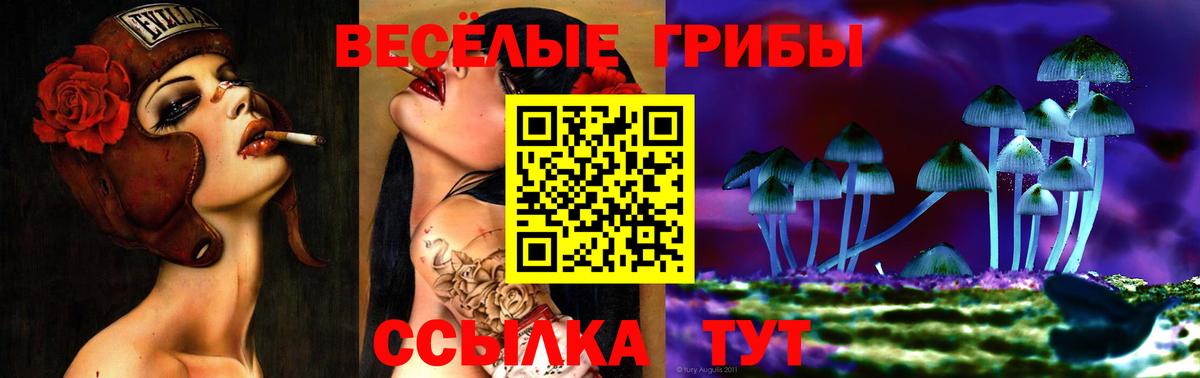 Псилоцибиновые грибы мицелий Костомукша